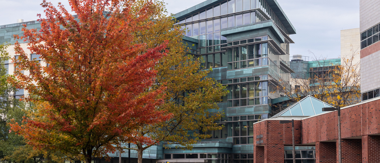 MERF Atrium in the fall season
